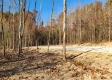 Tract 1 – Brady Road property photo