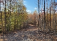 Tract 1 – Brady Road property photo