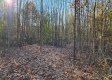 Tract 1 – Brady Road property photo