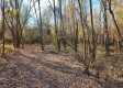 Tract 1 – Brady Road property photo