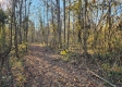 Tract 1 – Brady Road property photo