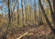 Tract 1 – Brady Road property photo