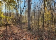 Tract 1 – Brady Road property photo