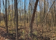 Tract 1 – Brady Road property photo