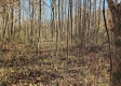 Tract 1 – Brady Road property photo