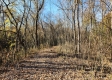 Tract 1 – Brady Road property photo