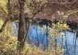Tract 1 – Brady Road property photo