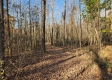Tract 1 – Brady Road property photo