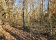 Tract 1 – Brady Road property photo