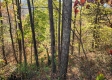 Tract 1 – Brady Road property photo
