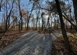More of Tract 8 - The Woods at Potts Hill