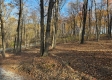 More of Tract 8 - The Woods at Potts Hill