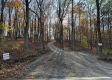 Tract 8 - The Woods at Potts Hill