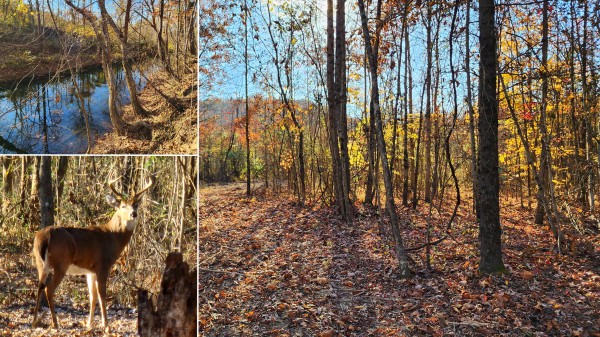 Tract 2 – Brady Road on Monday Creek