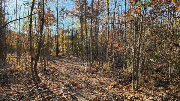 Tract 2 – Brady Road on Monday Creek property photo