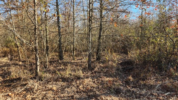 Tract 2 – Brady Road on Monday Creek property photo