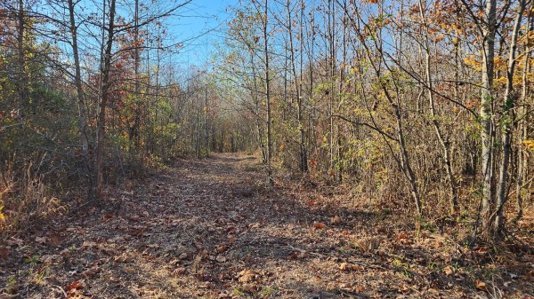 Tract 2 – Brady Road on Monday Creek property photo