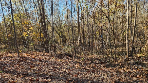 Tract 2 – Brady Road on Monday Creek property photo