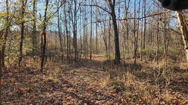 Tract 2 – Brady Road on Monday Creek property photo