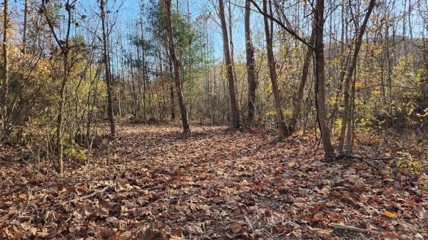 More of Tract 2 – Brady Road on Monday Creek