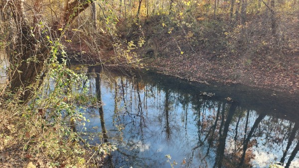 Tract 2 – Brady Road on Monday Creek property photo