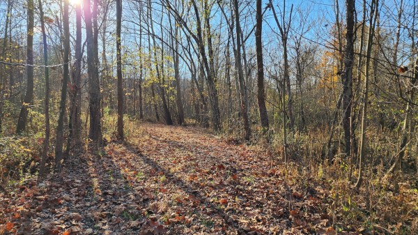 Tract 2 – Brady Road on Monday Creek property photo