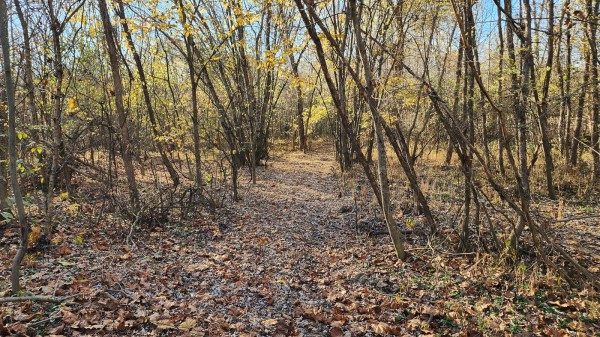 More of Tract 2 – Brady Road on Monday Creek