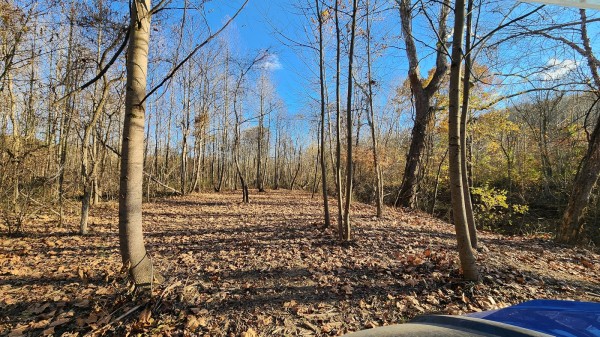 Tract 2 – Brady Road on Monday Creek property photo