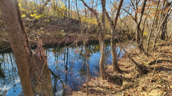 More of Tract 2 – Brady Road on Monday Creek