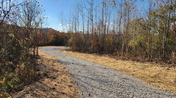 Tract 2 – Brady Road on Monday Creek property photo