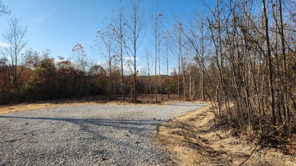 Tract 2 – Brady Road on Monday Creek property photo
