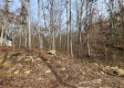 Whitetail Ridge Cabin property photo