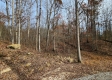 Whitetail Ridge Cabin property photo