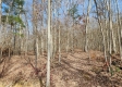 Whitetail Ridge Cabin property photo