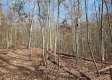 Whitetail Ridge Cabin property photo
