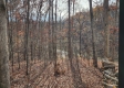Whitetail Ridge Cabin property photo