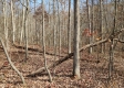 Whitetail Ridge Cabin property photo