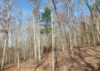 Whitetail Ridge Cabin property photo