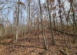 Whitetail Ridge Cabin property photo