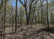 Whitetail Ridge Cabin property photo