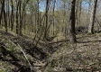 Whitetail Ridge Cabin property photo
