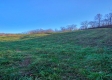 Tract 8 - Albany Woods property photo