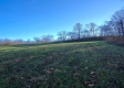 Tract 8 - Albany Woods property photo