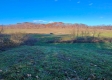 Tract 8 - Albany Woods property photo
