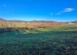 Tract 8 - Albany Woods property photo
