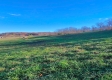Tract 8 - Albany Woods property photo