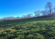 Tract 8 - Albany Woods property photo