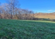 Tract 8 - Albany Woods property photo