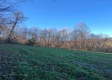 Tract 8 - Albany Woods property photo