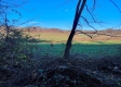 Tract 8 - Albany Woods property photo